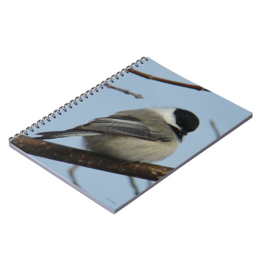 B21 Schwarze Chickade Notizblock (Linke Seite)