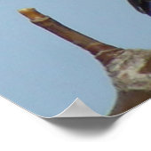 B21 Schwarze Chickade Poster (Ecke)