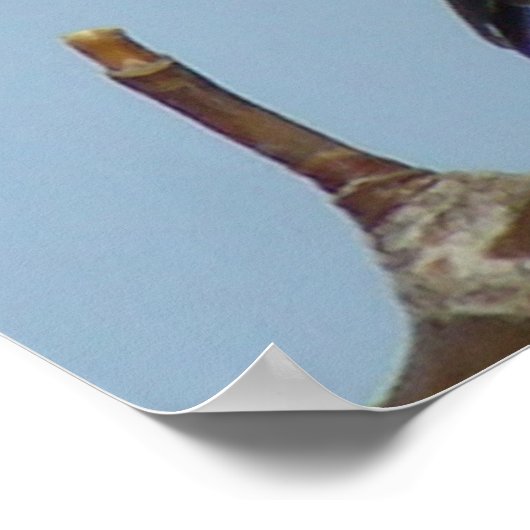 B21 Schwarze Chickade Poster (Ecke)