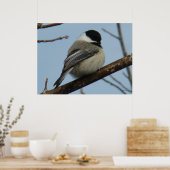 B21 Schwarze Chickade Poster (Küche)