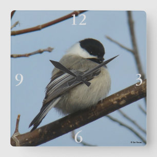 B21 Schwarze Chickade Quadratische Wanduhr