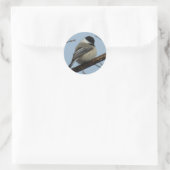 B21 Schwarze Chickade Runder Aufkleber (Tasche)