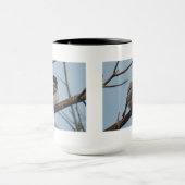 B21 Schwarze Chickade Tasse (Zentrum)