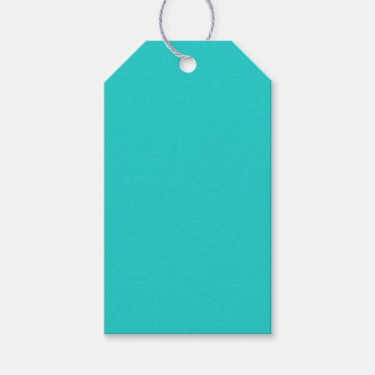 B22 Ei-Blau-Farbe von Robin Geschenkanhänger (Vorderseite)
