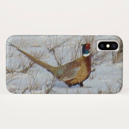 B22 Fasan in Schnee Case-Mate iPhone Hülle (Rückseite (Horizontal))