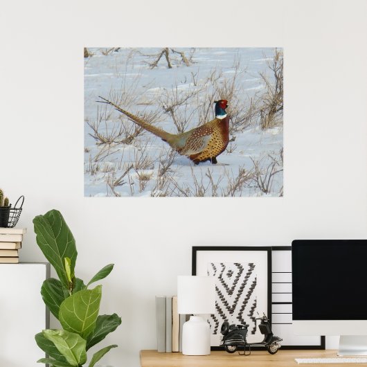 B22 Ringe-Necked Pheasant Poster (Heimbüro)