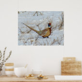 B22 Ringe-Necked Pheasant Poster (Küche)