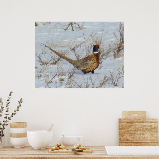 B22 Ringe-Necked Pheasant Poster (Küche)
