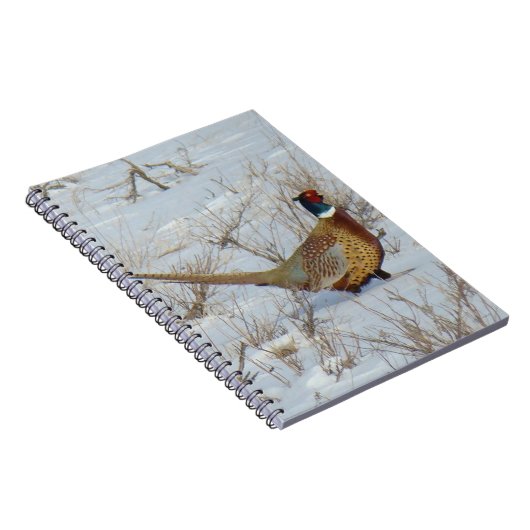 B22 Ringhalsblume im Schnee Notizblock (Rechte Seite)