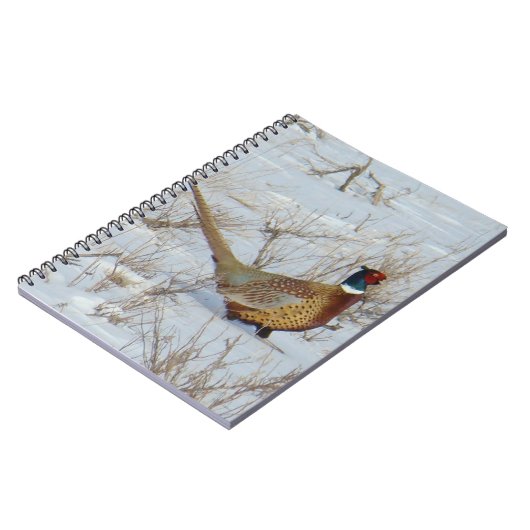 B22 Ringhalsblume im Schnee Notizblock (Linke Seite)