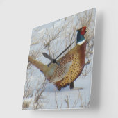 B22 Ringhalsblume im Schnee Quadratische Wanduhr (Winkel)