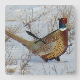 B22 Ringhalsblume im Schnee Quadratische Wanduhr