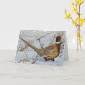 B22 Ringhalsblume Karte (Gelbe Blume)