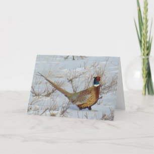 B22 Ringhalsblume Karte