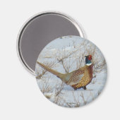 B22 Ringhalsblume Magnet (Vorderseite/Rückseite)