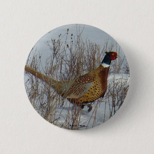 B23 Fasan . Button