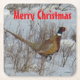 B23 Ring Necked Pheasant in Snow Coaster Rechteckiger Pappuntersetzer