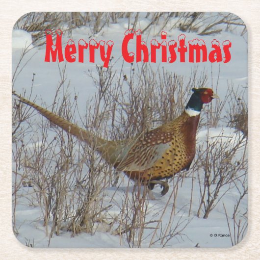 B23 Ring Necked Pheasant in Snow Coaster Rechteckiger Pappuntersetzer (Vorderseite)
