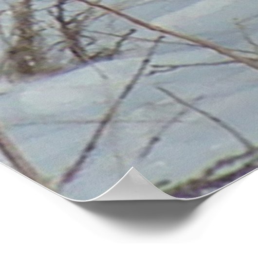 B23 Ringe-Necked Pheasant Poster (Ecke)