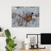 B23 Ringe-Necked Pheasant Poster (Heimbüro)