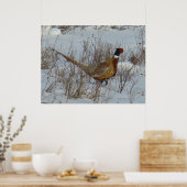 B23 Ringe-Necked Pheasant Poster (Küche)