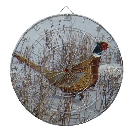 B23 Ringhalsblume im Schnee Dartscheibe (vorne)