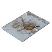 B23 Ringhalsblume im Schnee Notizblock (Linke Seite)