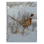 B23 Ringhalsblume im Schnee Notizblock (Vorderseite)