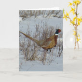 B23 Ringhalsblume Karte (Gelbe Blume)