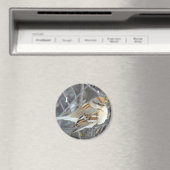 B24 Gemeiner Sparrow Magnet (In Situ (Geschirrspüler))