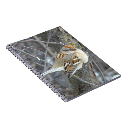 B24 Gemeiner Sparrow Notizblock (Rechte Seite)