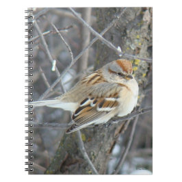 B24 Gemeiner Sparrow Notizblock