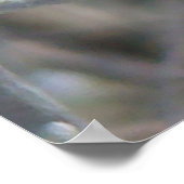 B24 Gemeiner Sparrow Poster (Ecke)