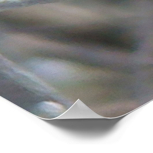 B24 Gemeiner Sparrow Poster (Ecke)