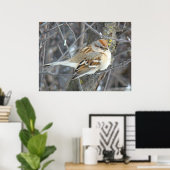 B24 Gemeiner Sparrow Poster (Heimbüro)