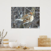 B24 Gemeiner Sparrow Poster (Küche)