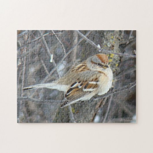 B24 Gemeiner Sparrow Puzzle (Horizontal)