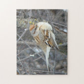 B24 Gemeiner Sparrow Puzzle (Vertikal)