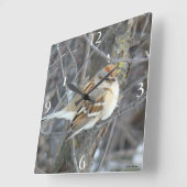 B24 Gemeiner Sparrow Quadratische Wanduhr (Winkel)