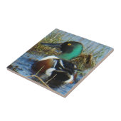 B25 Nordlöffelente Drake Fliese (Seite)