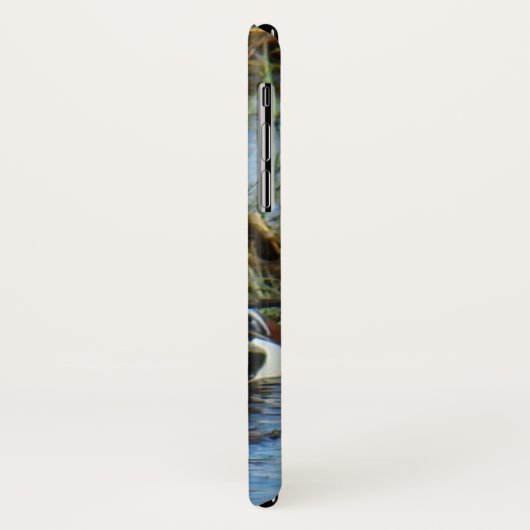 B25 Northern Shoveler Case-Mate iPhone Hülle (Hinten/Links)