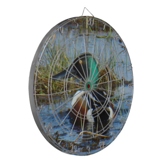 B25 Northern Shoveler Drake Dartscheibe (Vorderseite Links)