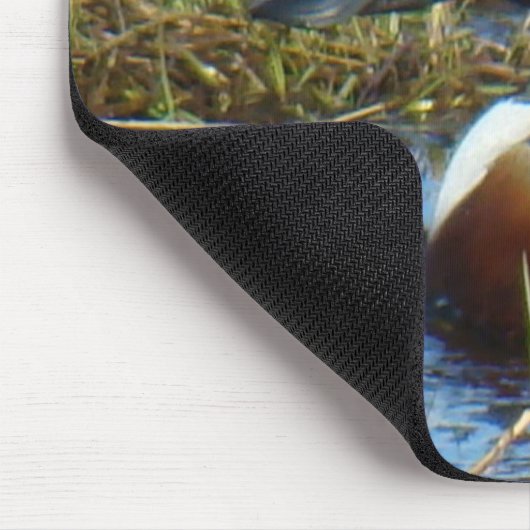 B25 Northern Shoveler Drake Mousepad (Ecke)
