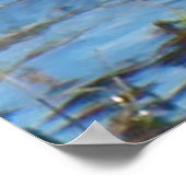 B25 Northern Shoveler Drake Poster (Ecke)