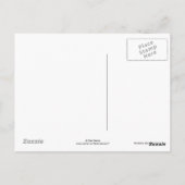 B25 Northern Shoveler Drake Postkarte (Rückseite)