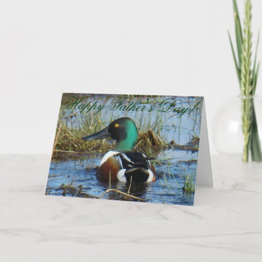 B25 Northern Shoveler Duck Karte (Vorderseite)