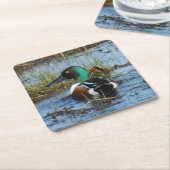B25 Northern Shoveler Rechteckiger Pappuntersetzer (angewinkelt)
