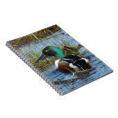 B25 Northern Shoveler Spoonbill Notizblock (Rechte Seite)