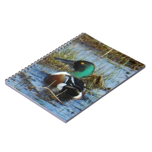 B25 Northern Shoveler Spoonbill Notizblock (Linke Seite)