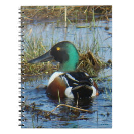 B25 Northern Shoveler Spoonbill Notizblock
